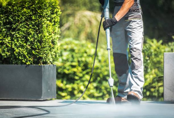 Best Building Exterior Washing  in Mont Alto, PA