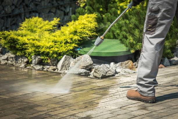 Animal Enclosure Cleaning in Mont Alto, PA