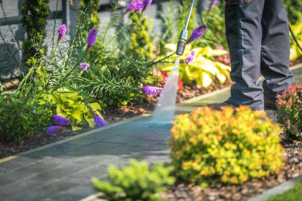 Best Sidewalk and Walkway Cleaning  in Mont Alto, PA